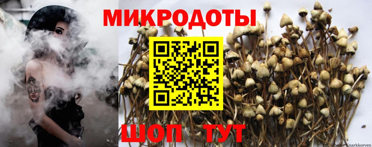 Псилоцибиновые грибы GOLDEN TEACHER Обнинск