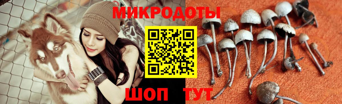 Псилоцибиновые грибы прущие грибы  Вход с VPN  Галлюциногенные грибы Psilocybine cubensis  Обнинск 